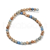 Dyed Natural Regalite/Imperial Jasper/Sea Sediment Jasper Beads Strands G-B124-C04-13-3