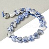 Natural Blue Spot Jasper Beads Strands G-D316-B10-1