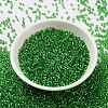Cylinder Seed Beads X-SEED-H001-G05-3