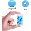 Glass Seed Beads SEED-PH0012-20-5