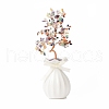 Mother's Day Natural Gemstone Chips with Brass Wrapped Wire Money Tree on Ceramic Vase Display Decorations DJEW-B007-01D-1