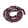 Natural Garnet Beads Strands X-G-L478-52-5