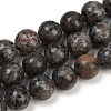 Natural Larvikite Beads Strands G-F792-C03-03-2