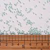 11/0 Grade A Ceylon Glass Seed Beads X-SEED-N001-B-0487-3