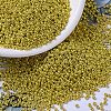 MIYUKI Round Rocailles Beads SEED-X0054-RR1071-1