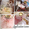 Polyester Organza Ribbons SRIB-WH20020-003A-03-5
