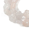 Natural Rose Quartz Beads Strands G-H023-B14-01-4