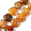 Natural Red Agate Beads Strands G-H023-B21-01-2