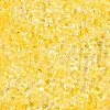 Spray Painted Glass Seed Beads SEED-T007-08C-2