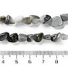 Natural Eagle Eye Stone Beads Strands G-P497-01C-52-5