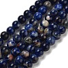 Natural South Africa Sodalite Beads Strands G-S259-35-8mm-4