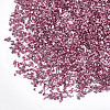 Plated Glass Seed Beads MRMJ-S034-04C-2