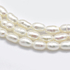 Natural Cultured Freshwater Pearl Beads Strands X1-PEAR-F007-83-3