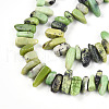 Natural Serpentine Beads Strands G-T140-62-3