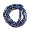 Natural Sodalite Beads Strands G-H230-72-3