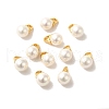 Shell Round Charms FIND-C046-01G-1