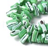 Dyed Natural Trochus Shell Beads Strands SSHEL-C013-09H-3