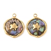 304 Stainless Steel Pave Natural Paua Shell Pendants STAS-F319-02C-G01-1