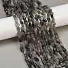 Natural Labradorite Beads Strands G-Q060-D02-1