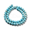 Synthetic Turquoise and Sea Shell Assembled Beads Strands G-D482-01D-07-3