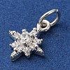 Brass Micro Pave Cubic Zirconia Pendants KK-D378-12S-2