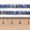 Natural Blue Spot Jasper Beads Strands G-C084-D09-01-4