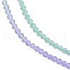 Transparent Glass Beads Strands GLAA-N041-009-12-3