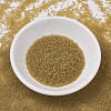 MIYUKI Delica Beads X-SEED-J020-DB0771-2