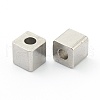 Non-Tarnish 304 Stainless Steel Beads STAS-H160-01C-P-2