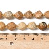 Natural Picture Jasper Beads Strands G-U023-A09-01-5