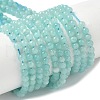 Natural Amazonite Beads Strands G-C201-A01-3mm-2
