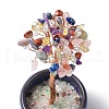 Undyed Natural Gemstone Chips Tree of Life Display Decorations TREE-PW0001-24F-3