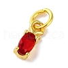 Rack Plating Brass Micro Pave Cubic Zirconia Charms KK-F881-03G-03-2
