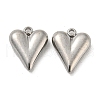 Non-Tarnish 304 Stainless Steel Charms STAS-L022-108P-07-1