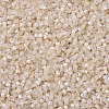 MIYUKI Delica Beads X-SEED-J020-DB1874-3