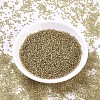 MIYUKI Round Rocailles Beads X-SEED-G007-RR1925-4