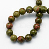 Natural Unakite Round Beads Strands G-S175-10mm-2