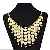 Coin Tassel Alloy Pendant Necklaces & Dangle Earrings Sets FS-WG02570-01-2