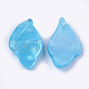 Cellulose Acetate(Resin) Pendants KY-S157-41A-2