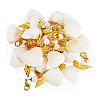 Angel Shell & Acrylic Pendant Decorations HJEW-TA00199-2