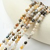 Natural Bamboo Leaf Agate Round Beads Strands G-M248-4mm-04-2