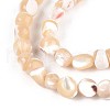 Natural Trochid Shell/Trochus Shell Beads Strands SSHEL-N040-11-3