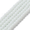 Glass Beads Strands EGLA-A034-P10mm-MD01-1