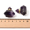 Natural Amethyst Perfume Bottle Pendants G-L623-08G-02-3