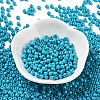 Baking Paint Glass Seed Beads SEED-H002-I-A508-2