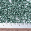 MIYUKI Round Rocailles Beads SEED-X0054-RR2028-3
