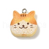 Opaque Resin Pendants RESI-Q020-05B-1