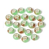 Rondelle Resin European Beads RPDL-A001-02-11-1