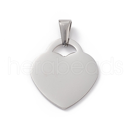Non-Tarnish 304 Stainless Steel Pendants STAS-G284-19P-1