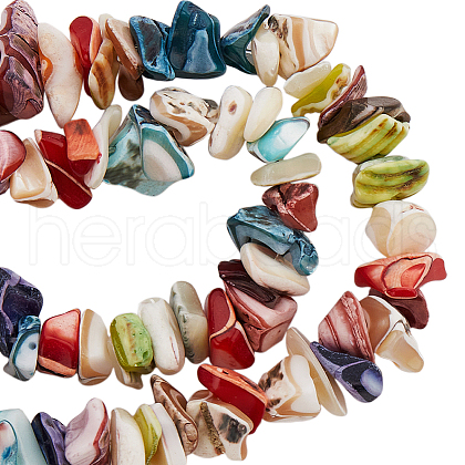 SUNNYCLUE 187Pcs Nuggets Chips Natural Shell Beads BSHE-SC0001-15-1
